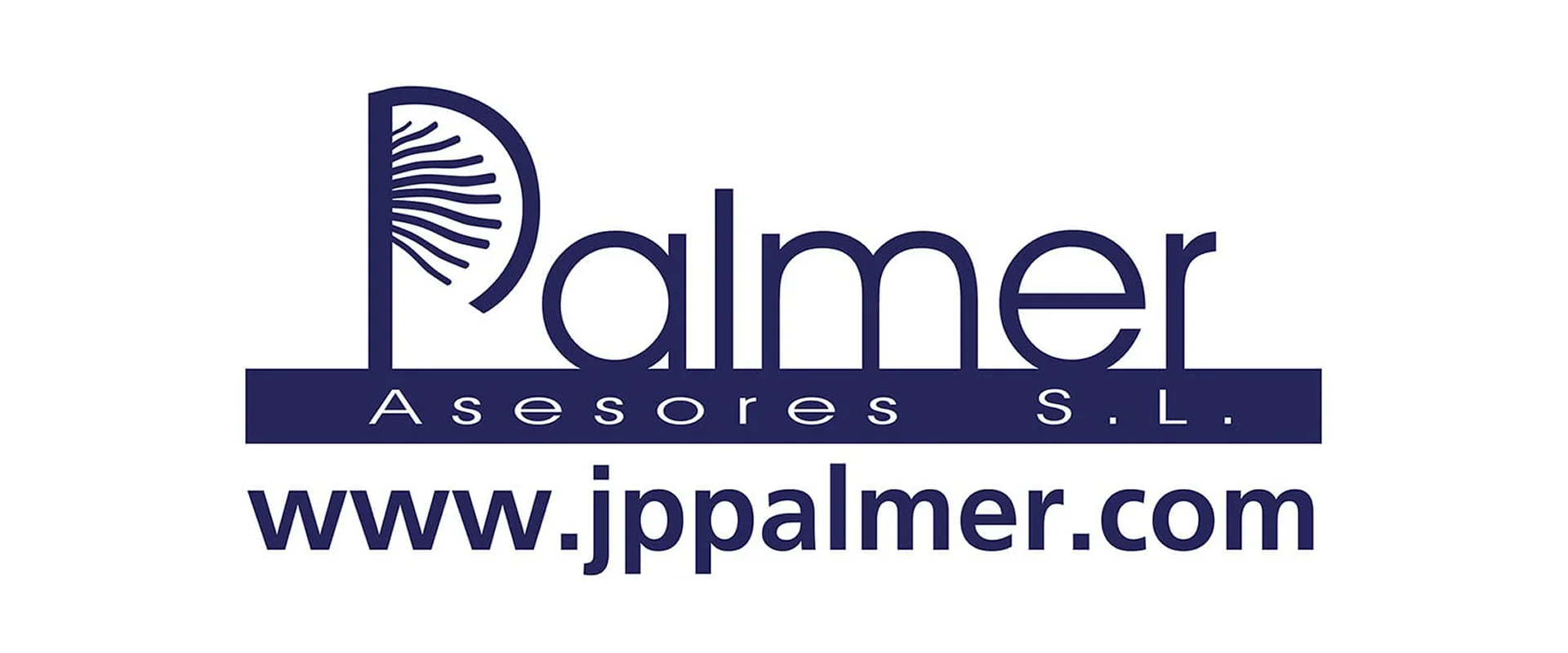 Banner de Palmer Asesores